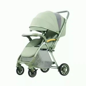 Bi-directional High Landscape Baby Stroller