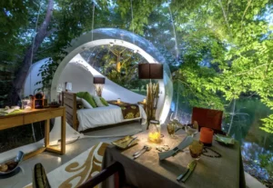 inflatable starview bubble tent 06 1
