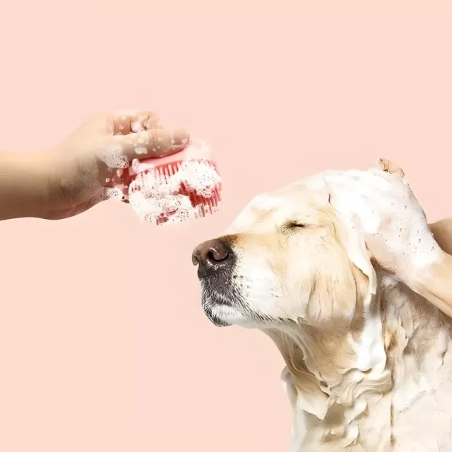 03 min 29.jpg 640x640 1