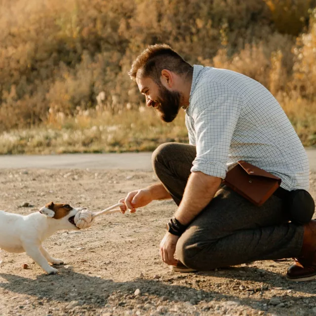 f1463be76a56fcbb4f5692936f33bd54.webp 640x640 1