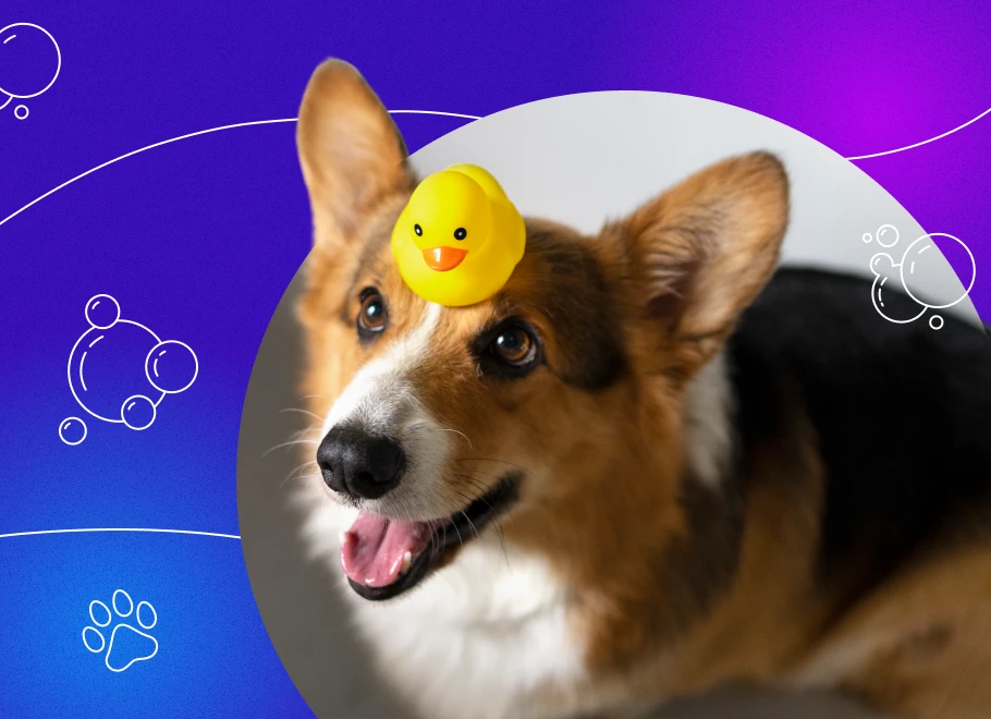 pet shampoo massager brush 3 1