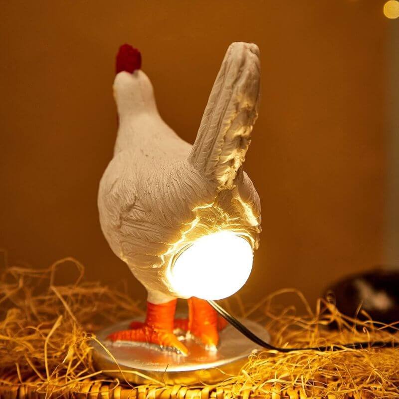 funny chicken night light - back side funny chicken night light - back side